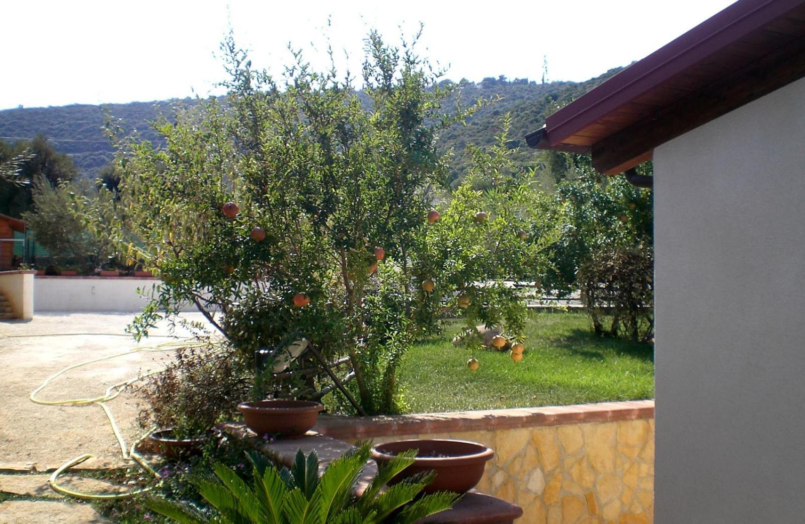 Bed And Breakfast La Casetta Monopoli Eksteriør bilde