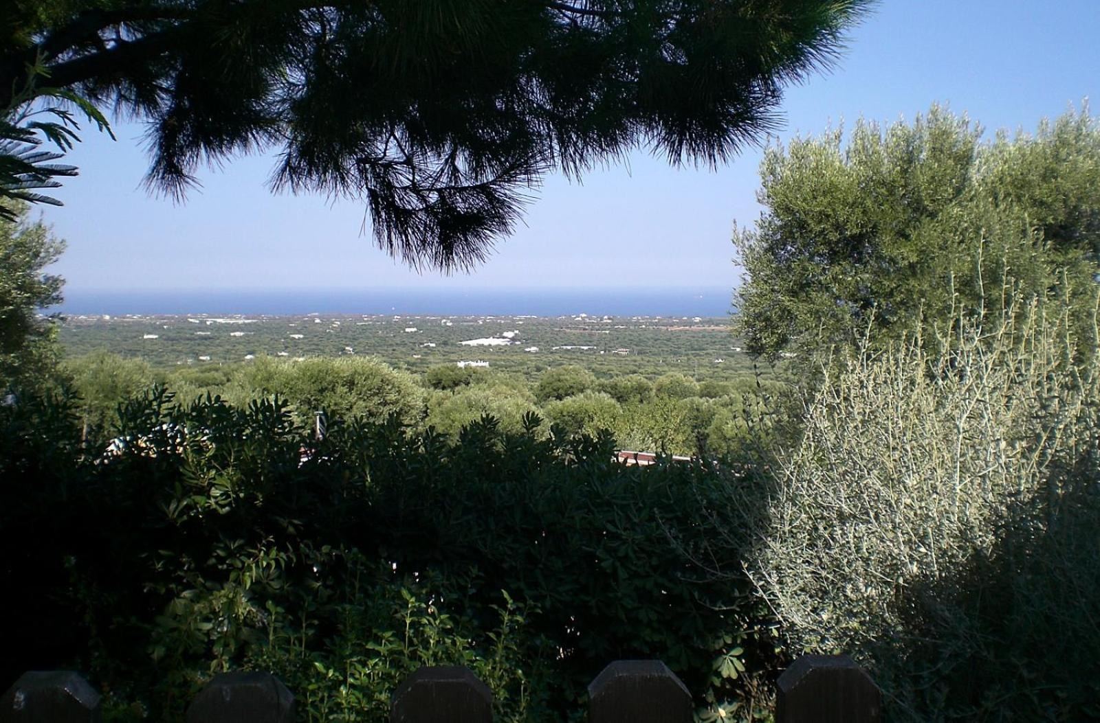 Bed And Breakfast La Casetta Monopoli Eksteriør bilde