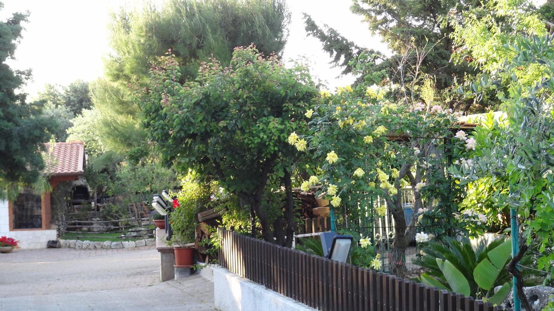 Bed And Breakfast La Casetta Monopoli Eksteriør bilde